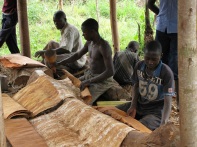Barkcloth makers in Uganda